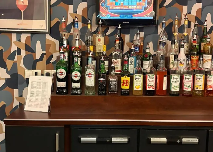 基里亚德迪容车站酒店 酒店 第戎